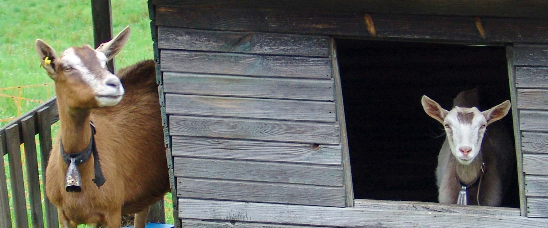 DSC02314 1920x800k