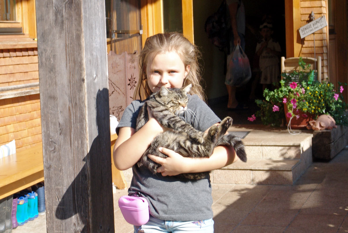 Unsere Katzen sind sehr zutraulich