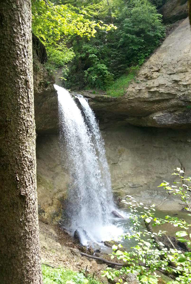 Scheidegger Wasserfälle