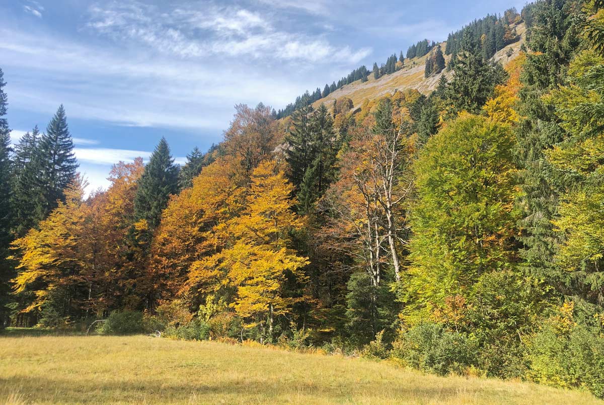 Alpe Hellmingen