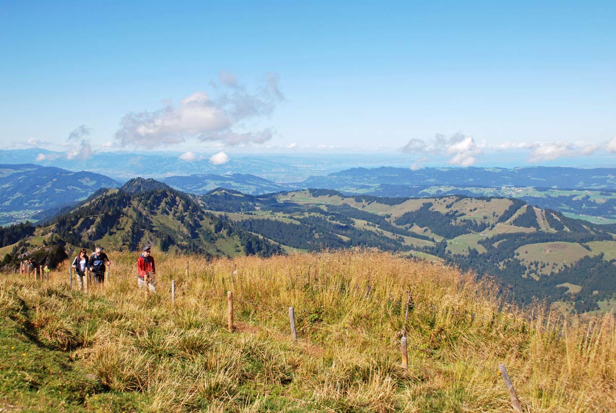 Wandern