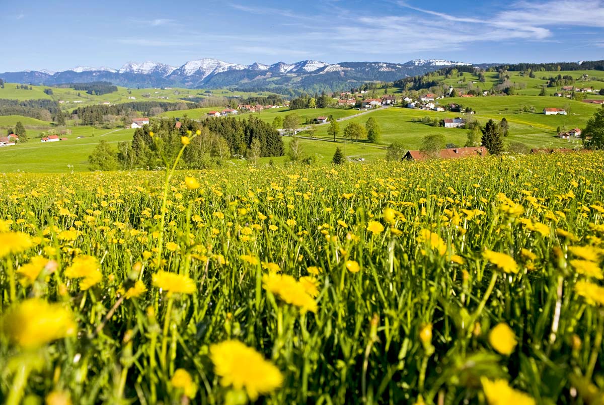 Sommer