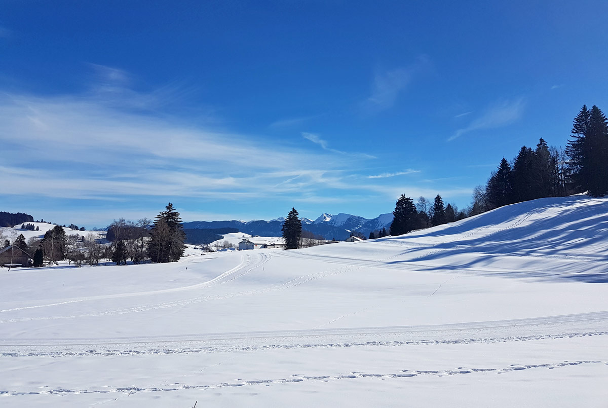 Winter