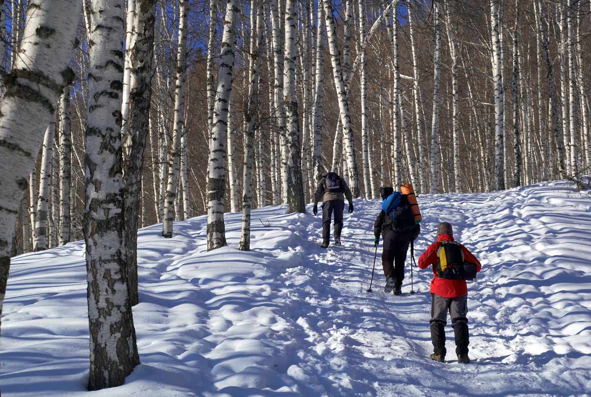 Winter und Schneeschuhwandern